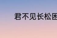 君不见长松困风霜原文及意思