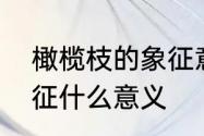 橄榄枝的象征意义是什么　橄榄枝象征什么意义