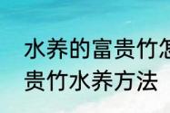 水养的富贵竹怎么养才能更旺盛　富贵竹水养方法