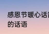 感恩节暖心话简短　感恩节表示感谢的话语