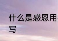 什么是感恩用英语解释　感恩英文缩写