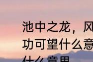 池中之龙，风云际会，一跃上天，成功可望什么意思　风云际会唯变不破什么意思