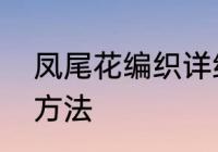 凤尾花编织详细教程　凤尾花的编织方法