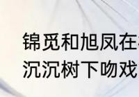 锦觅和旭凤在树下接吻是哪集　香蜜沉沉树下吻戏多少级