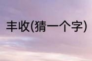 丰收(猜一个字)　丰收年猜一字解释