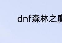 dnf森林之魔女项链完美词条