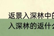 返景入深林中的返景什么意思　返景入深林的返什么意思