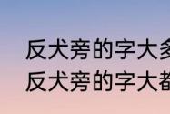 反犬旁的字大多和什么有关　我发现反犬旁的字大都和什么有关