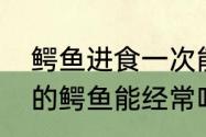 鳄鱼进食一次能维持多久　人工饲养的鳄鱼能经常吃吗