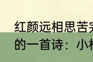 红颜远相思苦完整诗句　诛仙小说里的一首诗：小松岗