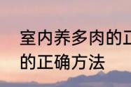 室内养多肉的正确方法　室内养多肉的正确方法