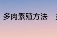 多肉繁殖方法　多肉的正确繁殖方法