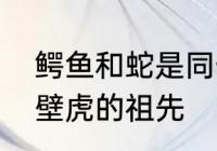 鳄鱼和蛇是同一祖先吗　鳄鱼是不是壁虎的祖先