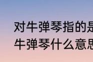 对牛弹琴指的是什么意思　说别人对牛弹琴什么意思