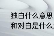 独白什么意思　请问，旁白，独白，和对白是什么意思，请举例说明