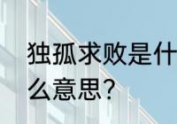 独孤求败是什么意思　独孤求败是什么意思?