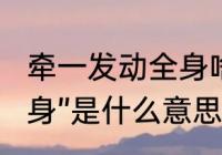 牵一发动全身啥意思　“牵一发而动全身”是什么意思