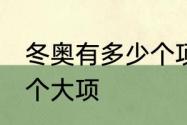 冬奥有多少个项目　24届奥运会有几个大项