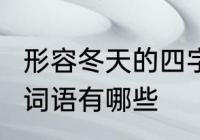 形容冬天的四字词语　关于冬天的4字词语有哪些