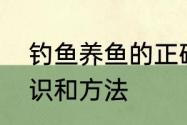 钓鱼养鱼的正确方法　钓鱼的基本知识和方法