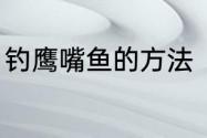 钓鹰嘴鱼的方法　中科5号鲫鱼怎么钓