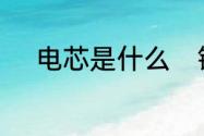 电芯是什么　锂电池电芯是什么