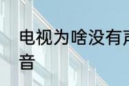 电视为啥没有声音　电视为啥没有声音