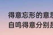 得意忘形的意思是什么　得意忘形和自鸣得意分别是什么意思