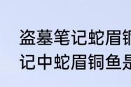 盗墓笔记蛇眉铜鱼在第几部　盗墓笔记中蛇眉铜鱼是什么