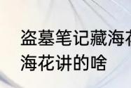 盗墓笔记藏海花讲什么　盗墓笔记藏海花讲的啥