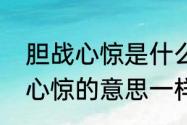 胆战心惊是什么意思　心惊胆战胆战心惊的意思一样吗