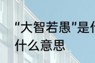 “大智若愚”是什么意思　大智若愚是什么意思