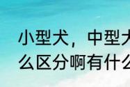 小型犬，中型犬，大型犬，巨型犬怎么区分啊有什么分别啊