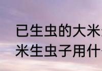 已生虫的大米生虫子处理小诀窍　大米生虫子用什么方法能解决