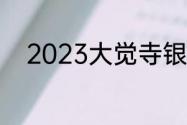 2023大觉寺银杏树观赏最佳时间