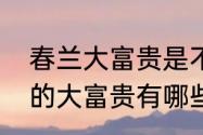 春兰大富贵是不是名贵品种　上南路的大富贵有哪些点心