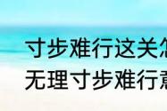 寸步难行这关怎么过　有理走遍天下无理寸步难行意思