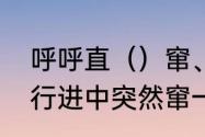 呼呼直（）窜、蹿，选哪一个　汽车行进中突然窜一下是什么原因