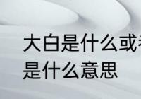 大白是什么或者是什么意思　大白子是什么意思