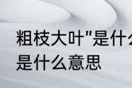 粗枝大叶”是什么意思　性格粗枝大叶是什么意思