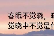 春眠不觉晓，晓是什么意思　春眠不觉晓中不觉是什么意思