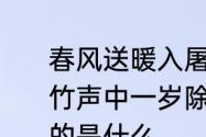 春风送暖入屠苏屠苏指的是什么　爆竹声中一岁除春风送暖入屠苏屠苏指的是什么