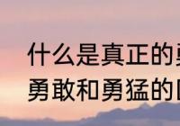 什么是真正的勇敢团结的力量有多大　勇敢和勇猛的区别