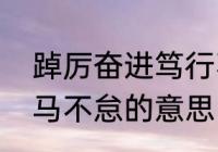 踔厉奋进笃行不怠读音　踔励奋发笃马不怠的意思