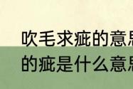 吹毛求疵的意思是什么　吹毛求疵中的疵是什么意思