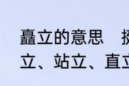 矗立的意思　挺立、矗立、耸立、屹立、站立、直立、伫立的意思，急