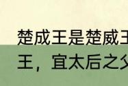 楚成王是楚威王的什么人　芈商(楚威王，宜太后之父)亡于多少年