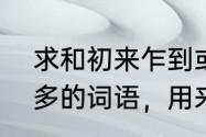 求和初来乍到或者初出茅庐意思差不多的词语，用来形容职场新人