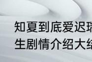 知夏到底爱迟瑞还是向天呢　情定三生剧情介绍大结局知夏最后回来了吗