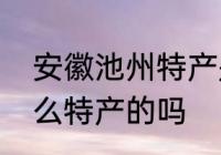 安徽池州特产是什么　安徽池州有什么特产的吗